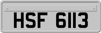 HSF6113