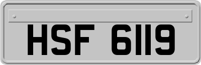 HSF6119