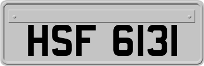 HSF6131