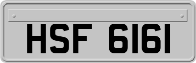 HSF6161