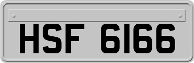 HSF6166