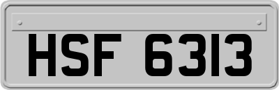 HSF6313