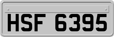 HSF6395