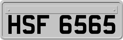 HSF6565