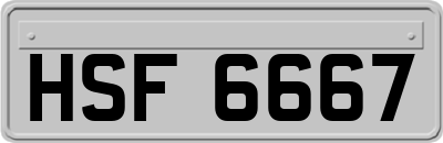 HSF6667