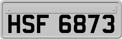 HSF6873