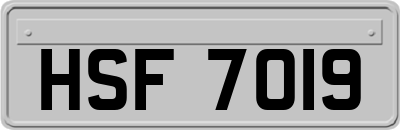 HSF7019