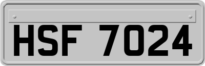 HSF7024