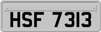 HSF7313