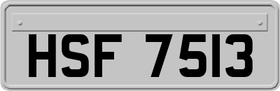 HSF7513