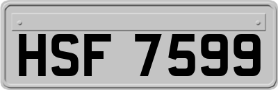 HSF7599