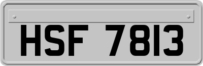 HSF7813