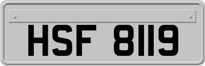 HSF8119