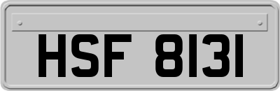 HSF8131