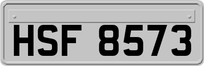 HSF8573