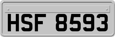 HSF8593