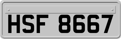 HSF8667