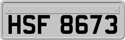 HSF8673