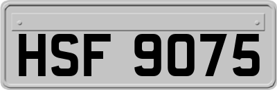 HSF9075