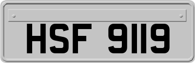 HSF9119