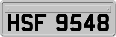 HSF9548