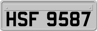 HSF9587