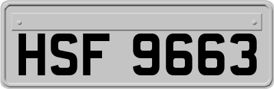 HSF9663