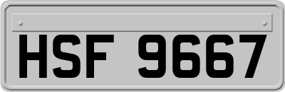 HSF9667