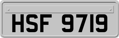 HSF9719