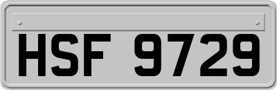 HSF9729