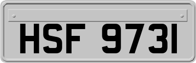 HSF9731