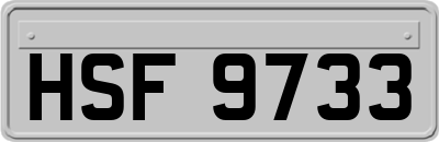 HSF9733