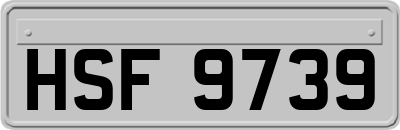 HSF9739