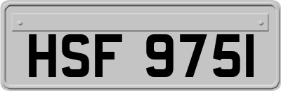 HSF9751