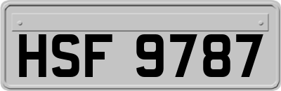 HSF9787