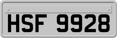 HSF9928