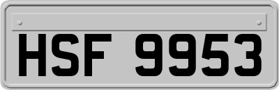 HSF9953