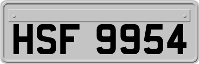 HSF9954