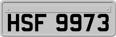 HSF9973