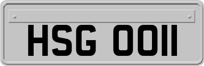 HSG0011