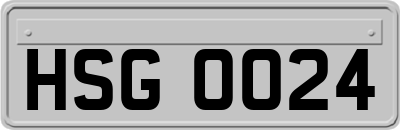 HSG0024