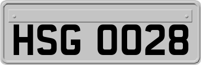 HSG0028