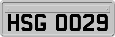 HSG0029