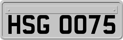 HSG0075