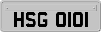 HSG0101