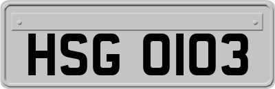 HSG0103