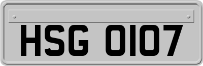 HSG0107