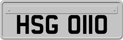 HSG0110