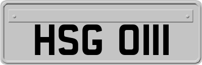 HSG0111