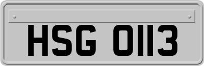 HSG0113